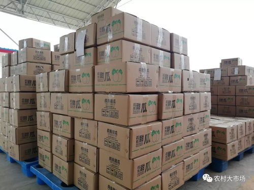 明日劇透 農產品供應鏈連起小農戶和大市場
